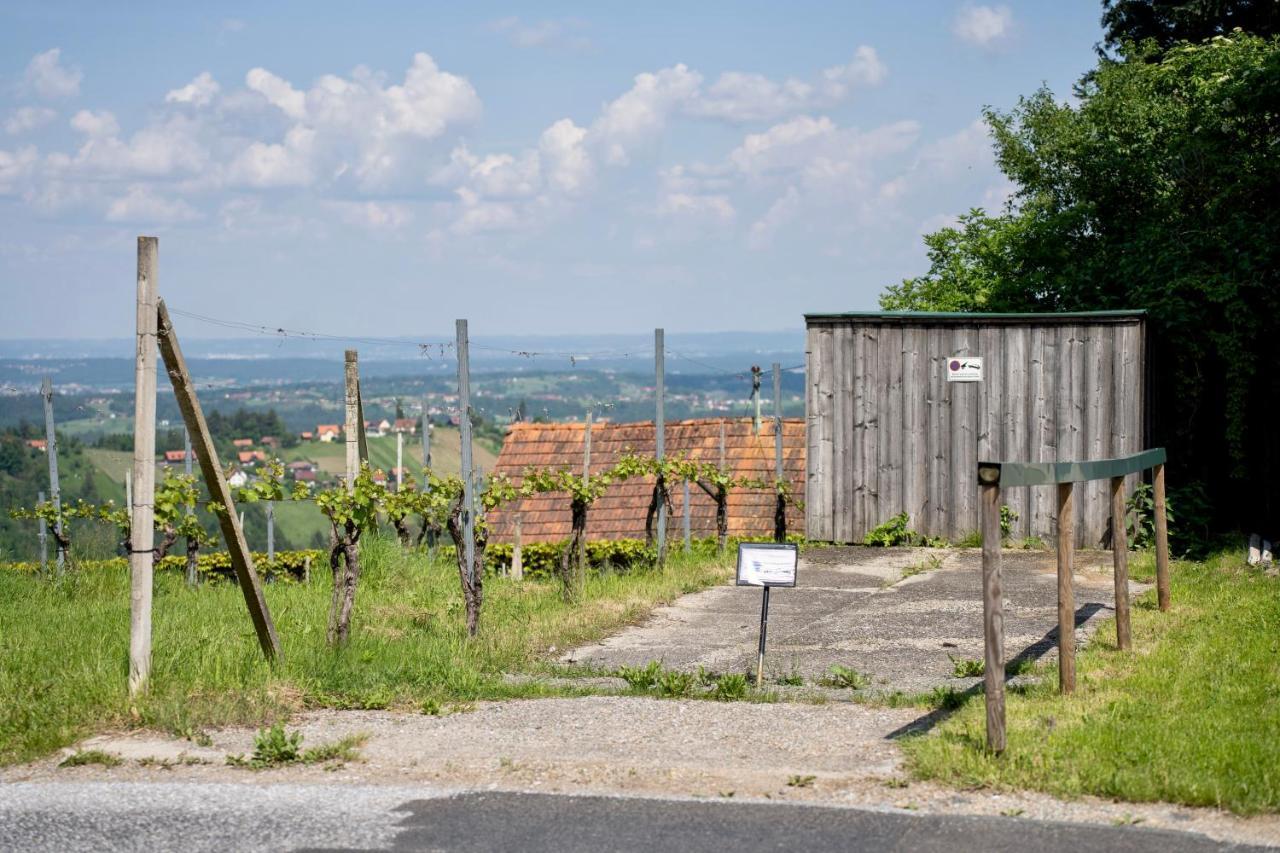 Schilcherland Lodge Greisdorf エクステリア 写真