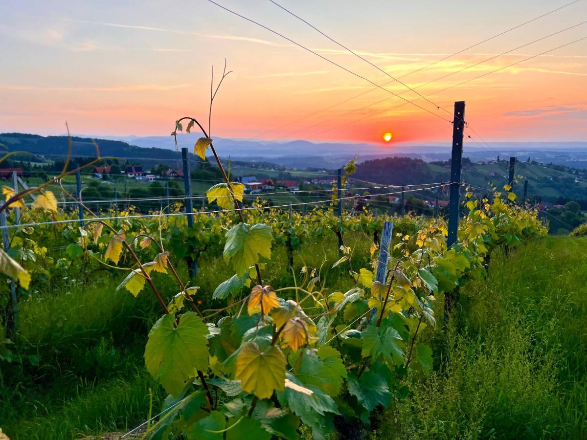 Schilcherland Lodge Greisdorf エクステリア 写真