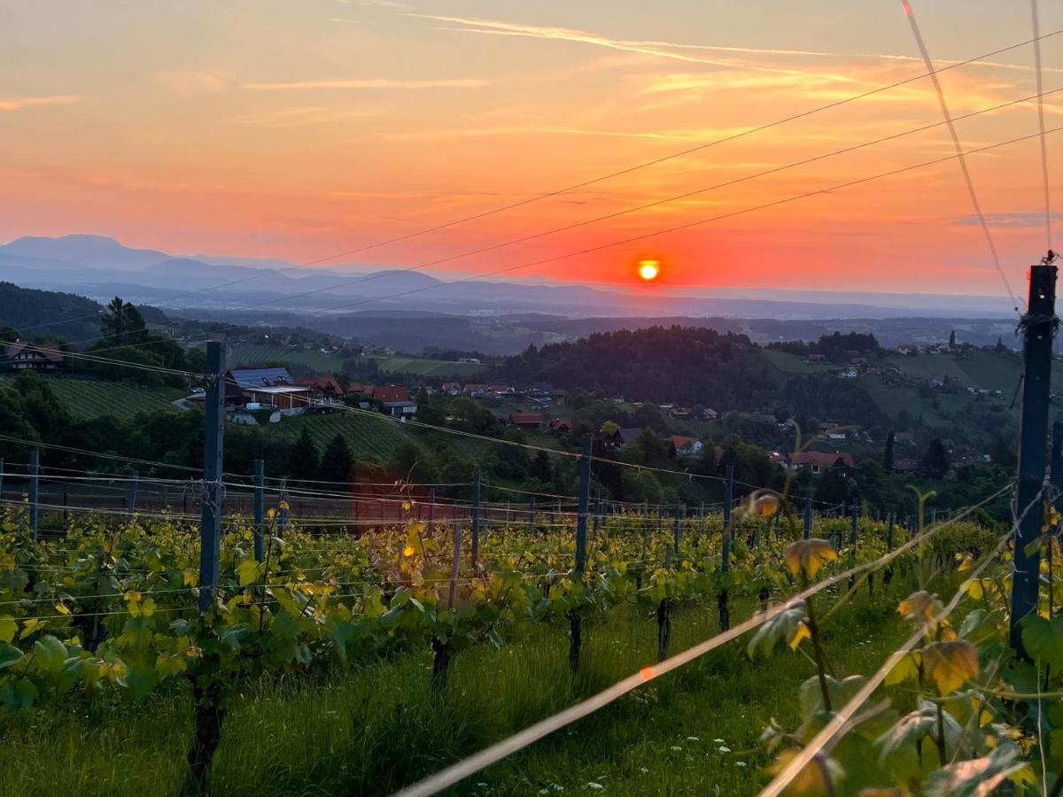 Schilcherland Lodge Greisdorf エクステリア 写真